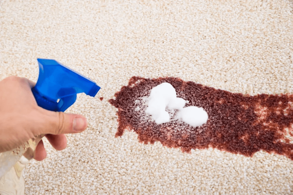 Get Hot Sauce Out of Carpet and Furniture