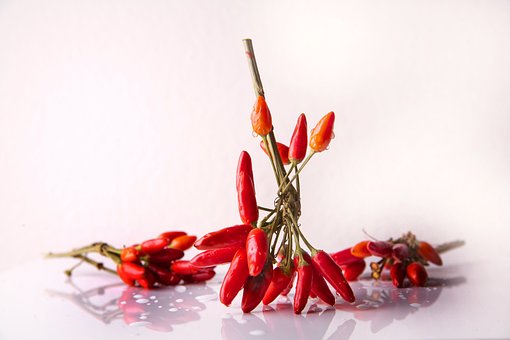 Freshly Picked Chilli Peppers