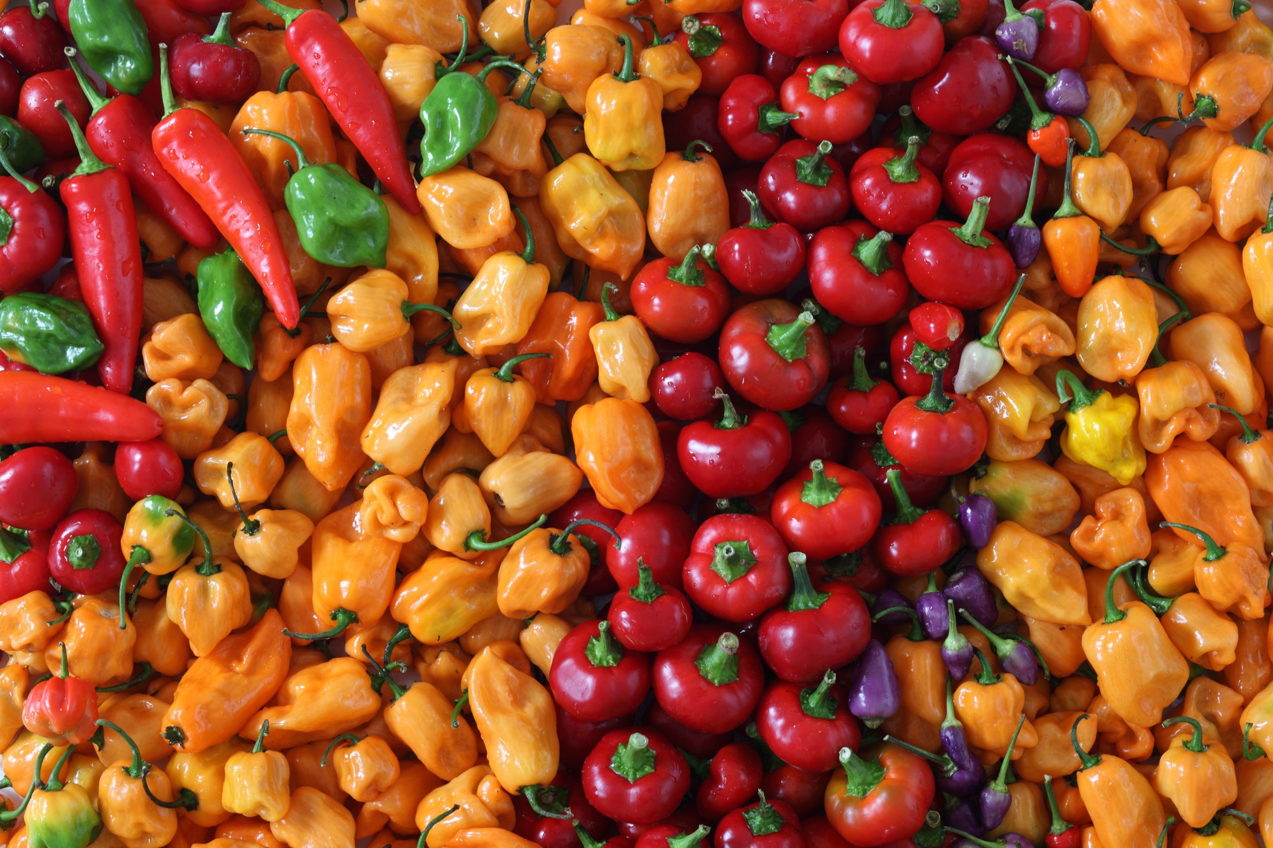 What Makes Red Peppers so Good for You?