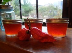 Trinidad Scorpion Chilli Jam