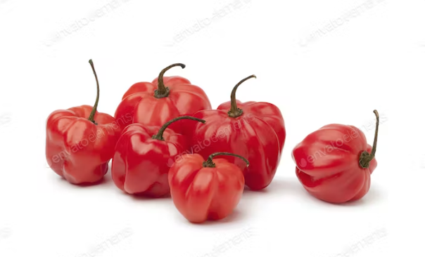 Caribbean Hot Pepper