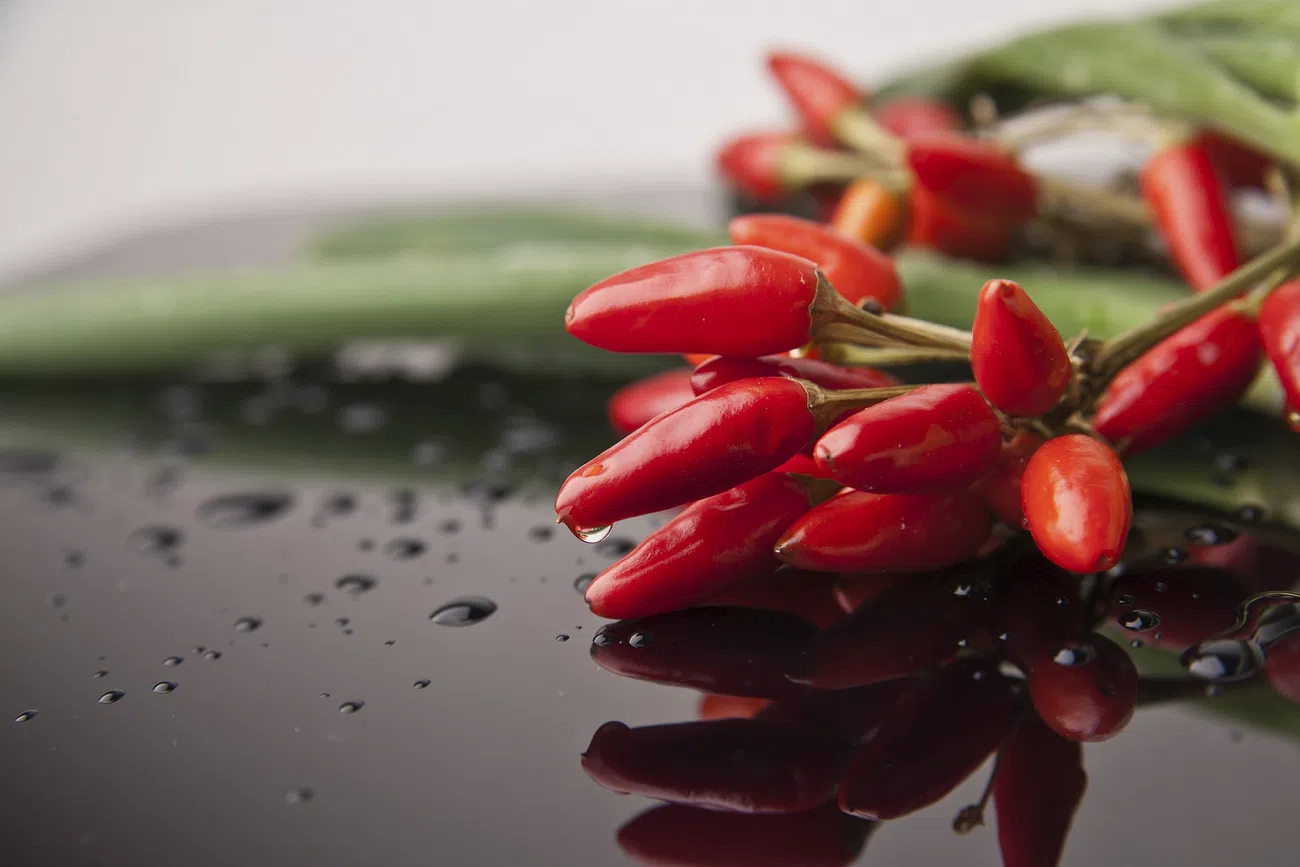 Unveiling the Mysteries of Chillies: What You Might Not Know